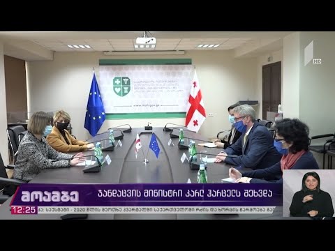 ჯანდაცვის მინისტრი ევროკავშირის ელჩს შეხვდა